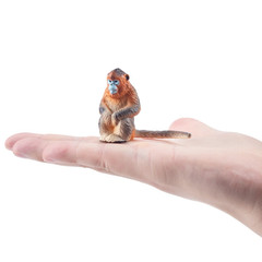 Toymany Golden Snub-Nosed Monkey Figurine Realistic Wildlife Animal Model