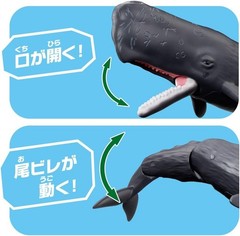 Takara Tomy ANIA Sperm Whale AL-34 Floating Animal Adventure Action Figure 2025