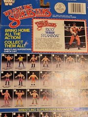 Wrestling Superstars LJN Toys WWF 1985 Ricky Steamboat New