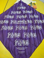 Teenage Mutant Ninja Turtles TMNT Membership Fan Club Kit 1988 Vintage Bandana