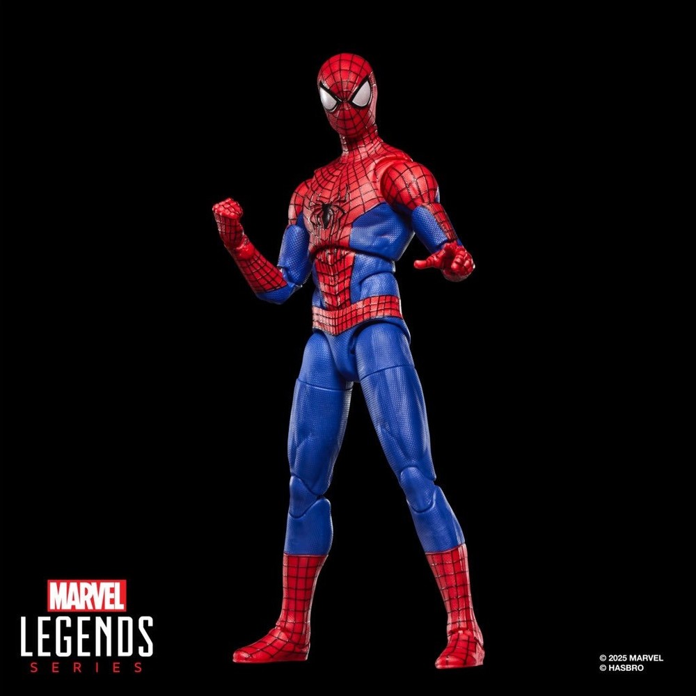 Marvel Legends Series Spider-Man (No Way Home)