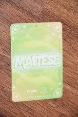 MALTESE Funism Blind Box mystery Toy Figure Minixir US SELLER
