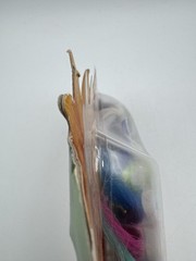 DreamWorks Trolls Wild Hair Pack Hasbro sealed in box