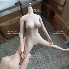 1:6 Female Makeup Seamless Body With detail Pale Skin Medium Breast 12″ Figure