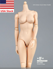 TQ0516 1/6 Female Pale Skin Large Bust For 12”Action Figure Body Doll Model