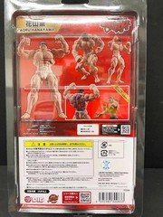 DIGACTION Hanayama Kaoru 1/24 Action Figure DIG Baki the Grappler Japan New