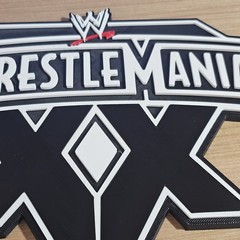 WWE Mattel WrestleMania XX 20 2004 8 X 7.5 Inch Logo Accessory