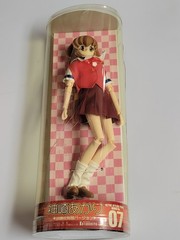 Battle Athletes Daiundokai Akari Kanzaki University Gym Clothes (Cracked Case)