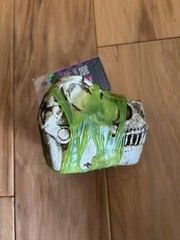 GrossMos! Dino Series 1 Dinosaur – Ages 4+ – New