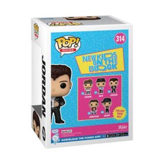 New Kids on The Block Jordan Pop Vinyl Adorable High Quality Ages 3 Years Up