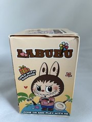 LABUBU Labubu Surprise Box Rabbit Action Figure Multicolor Ages 3+