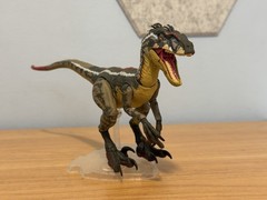 Jurassic World Amber Collection JP3 Male Velociraptor 1:12 Scale Complete Loose