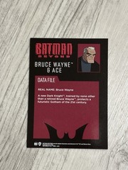McFarlane DC Multiverse Batman Beyond Bruce Wayne & Ace Card Included Animated