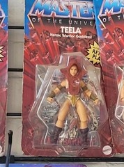 Mattel Masters of the Universe Teela Zodac Boxed Action Figure