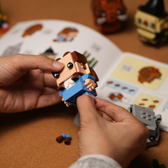Classic Action Figure Building Set Compatible with Lego for Adults | Gift Idea f