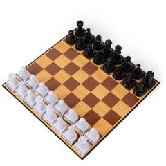 , Cardinal Classics Chess Teacher, Learn to Play Strategy Board Games for Beg…