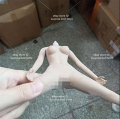 1:6 Female Makeup Seamless Body With detail Pale Skin Medium Breast 12″ Figure