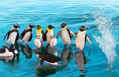 SeaWorld Penguin Figurine Set of 12 w/ Carry Case – 1 Full Set of 6 Pairs EUC