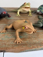 Lot 5 Frog Turtle Life-Like Realistic Plastic Rubber Stretchable Figure Toy
