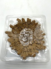 Bandai EFFECT IMPACT Beige Version