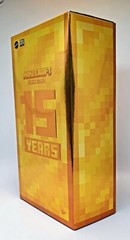 Minecraft Diamond Level 15 Years