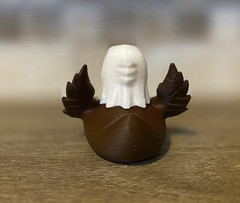 American Eagle Duck