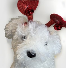 Dan Dee Puppy Dog White Red Hearts Animated & Sings You’re The One That I Want
