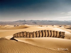 dune sandworm
