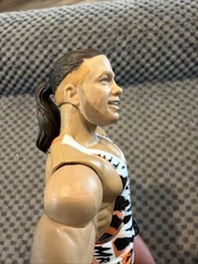 WWE Rob Van Dam Action Figure Mattel Elite Wrestling RVD Series 91