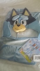 New Bluey Halloween Costume. Great Condition Never Worn! Size M (3T-4T) So Cute!