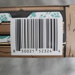 Teal Hatchling Crate – Plunderlings Action Figure Pack