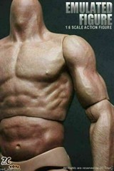 ZC Toys 12″ Muscular Male Action Figure Body Fit 1/6 Scale Hot Toys Head Sculpt