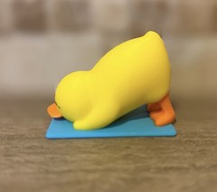 Yoga Duck – Downward Duck – Ducking – Cruises – Collectibles