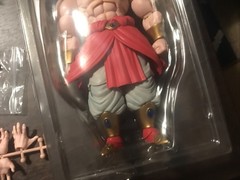 SH Figuarts Dragon Ball Z Red Bolt X Lion Heart SSJ Broly