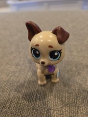 ZURU Surprise Pet Rescue Series Dog Puppy SPRINGER