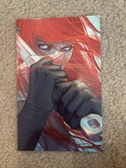 Boss Fight Studio Red Sonja CARDBOARD BACKER Only – Epic H.A.C.K.S