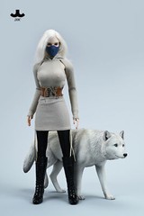 JXK 1/6 Common Gray Wolf Model Collections Animal Figure Decor Toys Xmas Gift