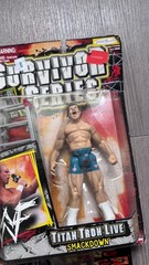 Jakks Pacific WWE WWF Figures Lot Simon Dean Angle Austin BCA Jarrett TTL Gunn