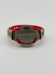AEW Wrestling Figure World Heavyweight & TNT Championship Accessory Lot