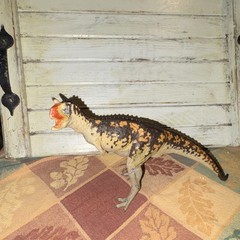 Carnotaurus action figure – orange & black plastic toy (7 inch)
