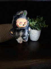 POP MART Labubu Grey V3 Secret ID Hidden Secret ID Grey Rare Labubus