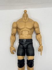 WWE Elite Series 122 – Stone Cold Steve Austin Complete Body Fodder 1/12 Scale