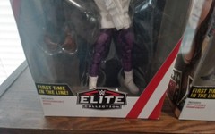 WWE Mattel Elite Series #67 Shayna Baszler Velveteen Dream 1st time in the Line