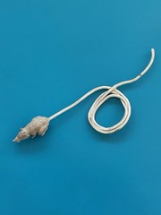 Teenage Mutant Ninja Turtles Mirage Comics Rat King Rat Accessory