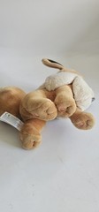Pokémon WCT Eevee Plush Stuffed Animal Toy Wicked Cool Toys 8″