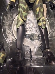 Star Wars Commander Gree 41st Elite Corp SideShow Exclusive 1:6 21831 W/ Bonus