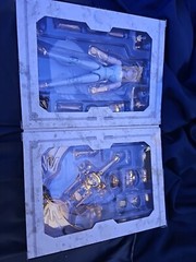 Cygnus Hyoga POWER OF Gold