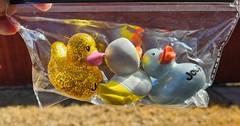 Jeep Branded 2” Rubber Duck Glitter Duck with Jeep Logo you get 4 pack NEW VHTF