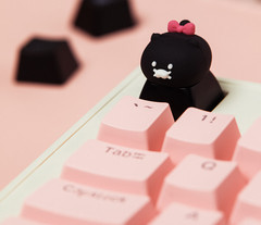 Kakao Friends Choonsik Ryan LED Keycap Figure Keyring Collection Official Goods