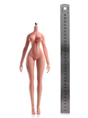 1/6 Flexible Normal MakeupLarge Breast Female Action Figure Body Detail Doll